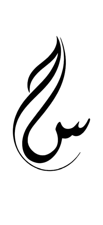 Haziq & Sarah logo